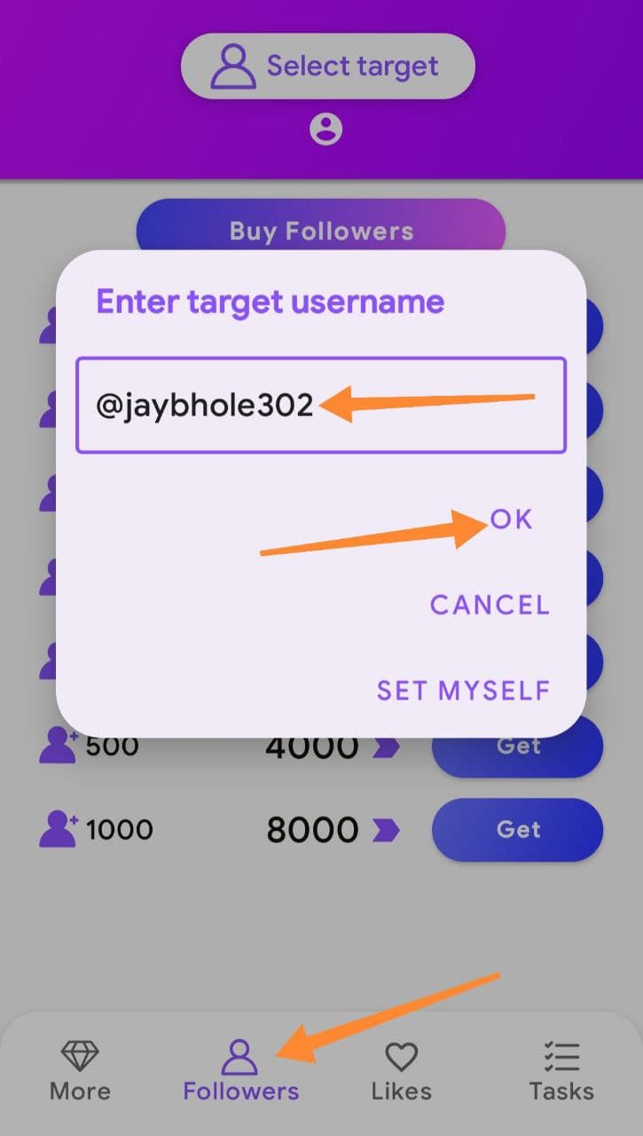 Enter Target Username